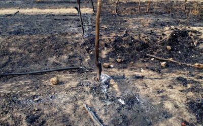 Hulp Nodig Na Verwoestende Brand in Murewa, Zimbabwe