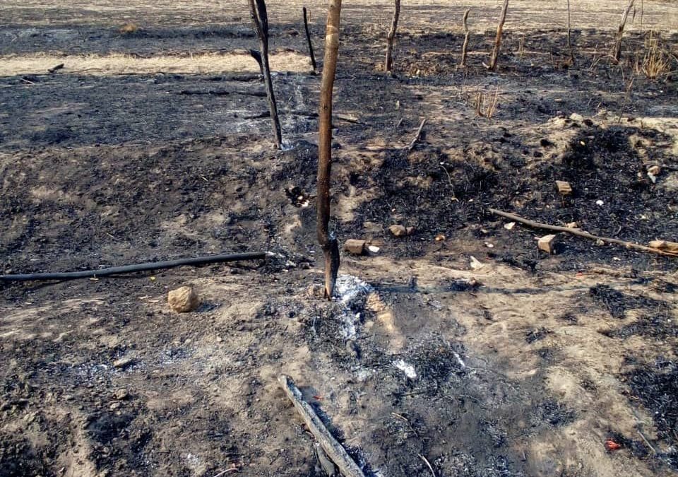 Hulp Nodig Na Verwoestende Brand in Murewa, Zimbabwe